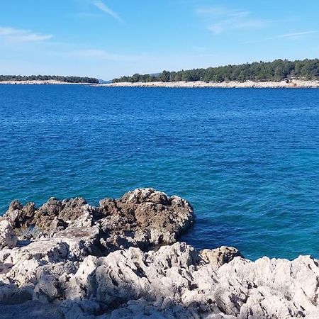 Apartment Jura Bilo Primošten Εξωτερικό φωτογραφία